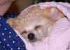 Sleepy Baby